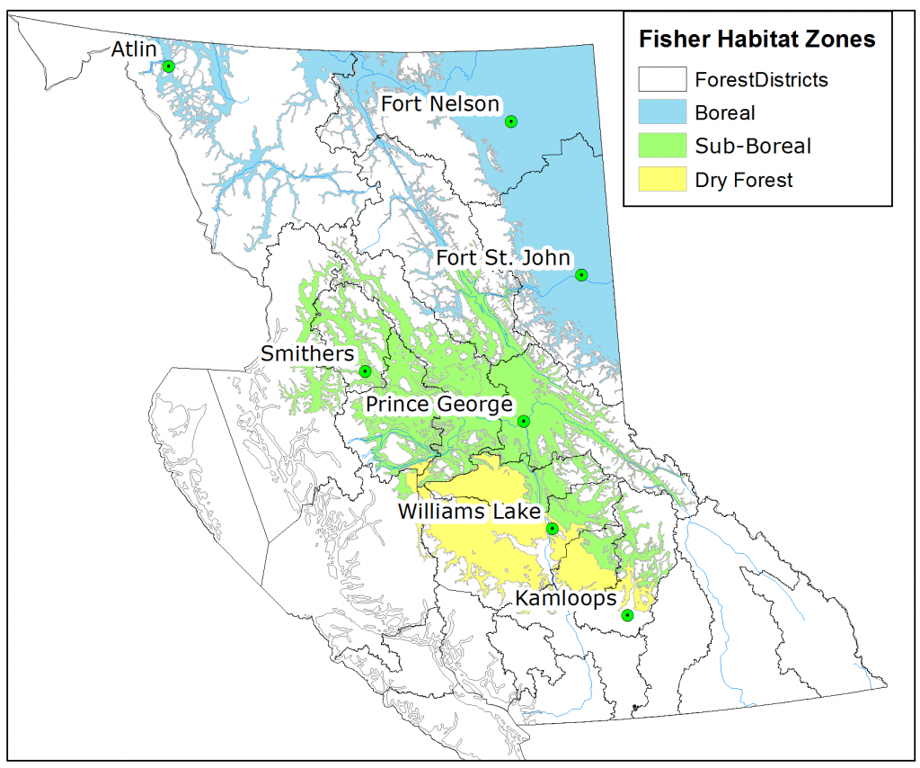 Habitat Tools BC Fisher Habitat