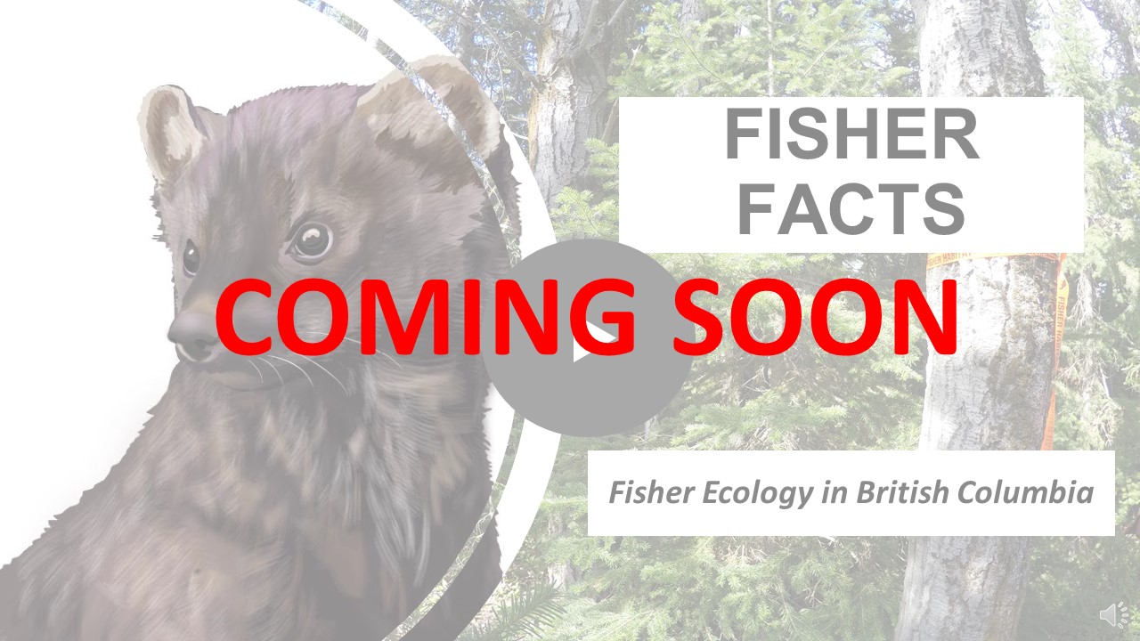 Training Resources BC Fisher Habitat